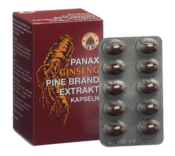 Panax extrait de ginseng 60 capsules