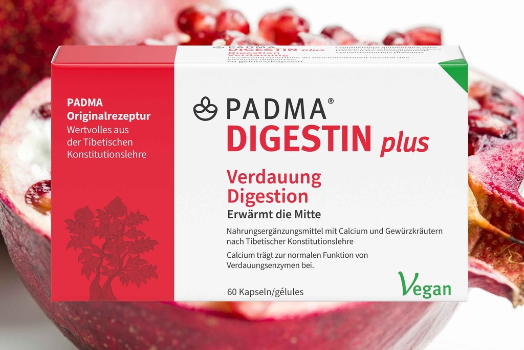 Padma Digestin plus 60 capsules