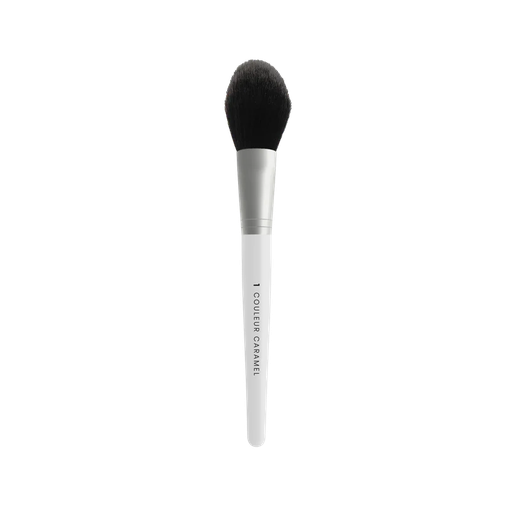 CC Pinceau poudre N°01