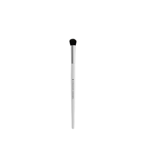 CC Pinceau paupières N°06