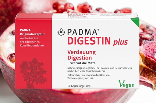 Padma Digestin plus 60 capsules