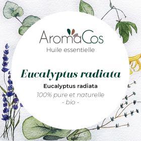 HE Eucalyptus Radiata Bio 10ml Aromacos