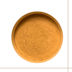 Dioniso Triphala poudre 100g