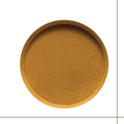 Dioniso Emblica officinalis/ Amalaki poudre 100g