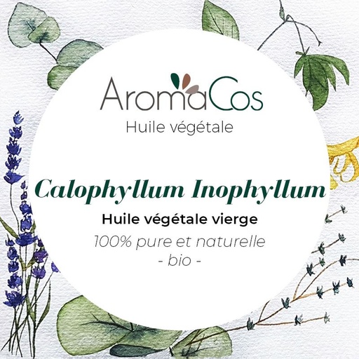Huile végétale Calophylle Inophyllum 50ml