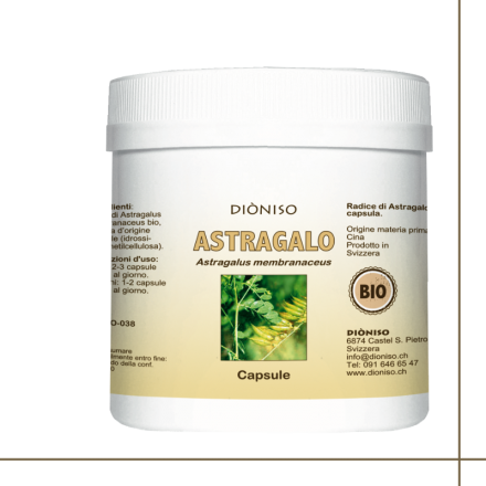 Dioniso Astragale 100 caps