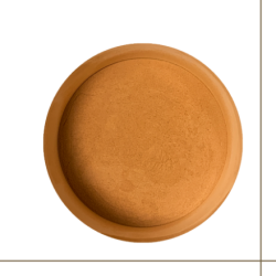 Dioniso Cordyceps poudre 50g