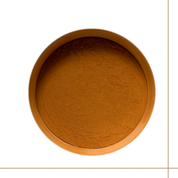 Dioniso Reishi poudre 50g