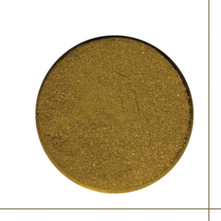 Dioniso Chanca piedra poudre 100g