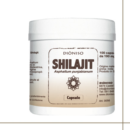 Dioniso Shilajit 190mg 100 caps