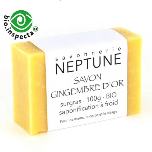 Savon Neptune Gingembre d'Or BIO 100g