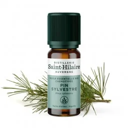 St. Hilaire HE Pin sylvestre bio 10ml